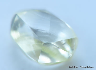 Ideal for rough diamond jewelry, natural diamond out from a diamond mine