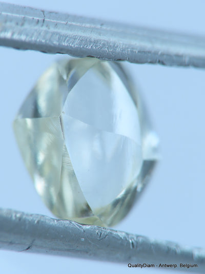 H VS2 natural diamond ideal for uncut diamond jewelry. Out from a diamond mine