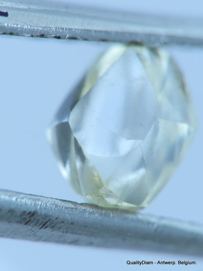 H VS2 natural diamond ideal for uncut diamond jewelry. Out from a diamond mine