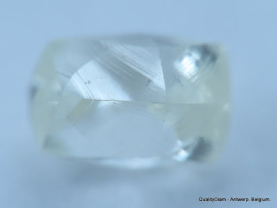 H VS1 natural diamond ideal for uncut diamond jewelry. Out from a diamond mine