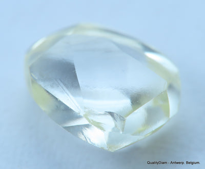 1.88 Carat beautiful diamond mackle out from diamond mine - a gem diamond