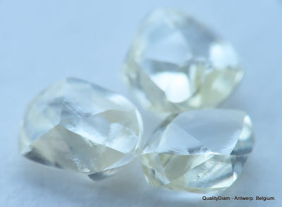 1.17 carats beautiful collection of natural uncut raw diamonds out mines