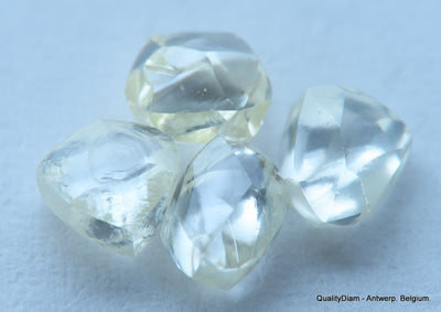 1.60 carats beautiful collection of natural uncut raw diamonds out mines