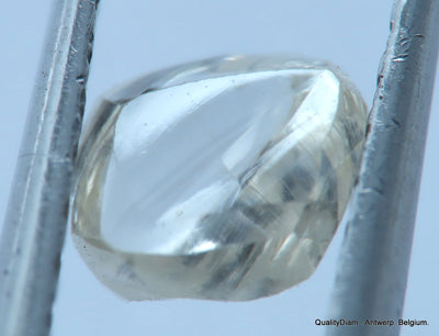 Ideal for rough diamond jewelry, natural diamond out from a diamond mine