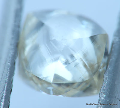 Ideal for rough diamond jewelry, natural diamond out from a diamond mine