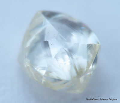 Ideal for rough diamond jewelry, natural diamond out from a diamond mine