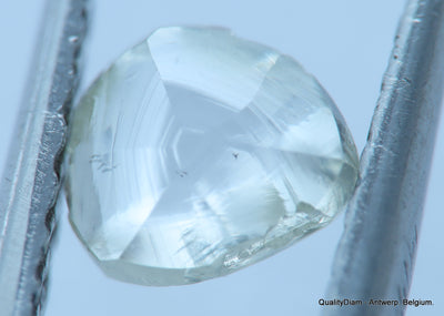 H SI1 natural diamond ideal for uncut diamond jewelry. Out from a diamond mine