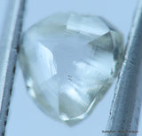H SI1 natural diamond ideal for uncut diamond jewelry. Out from a diamond mine