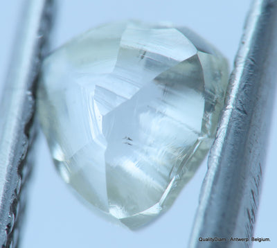 H SI1 natural diamond ideal for uncut diamond jewelry. Out from a diamond mine