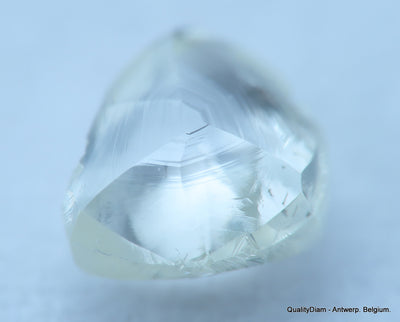 H SI1 natural diamond ideal for uncut diamond jewelry. Out from a diamond mine