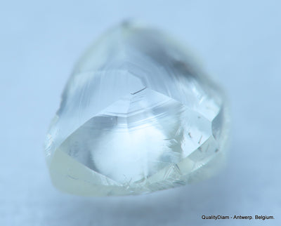 H SI1 natural diamond ideal for uncut diamond jewelry. Out from a diamond mine