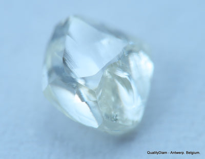 H SI1 natural diamond ideal for uncut diamond jewelry. Out from a diamond mine