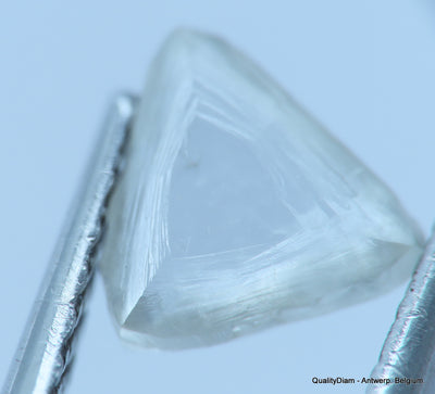 H VVS1 uncut diamond also known as rough diamond out from a diamond mine