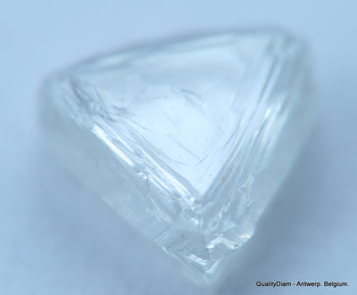 E VS1 uncut diamond also known as rough diamond out from a diamond mine