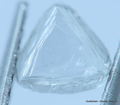 E VS1 uncut diamond also known as rough diamond out from a diamond mine