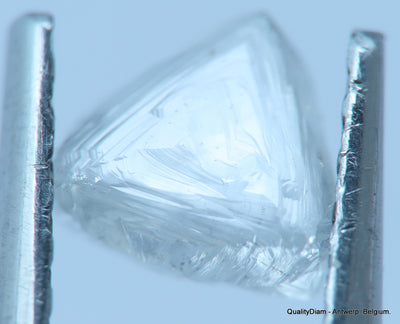 E VS1 uncut diamond also known as rough diamond out from a diamond mine