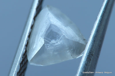 H VS2 Uncut diamond also known as rough diamond out from a diamond mine