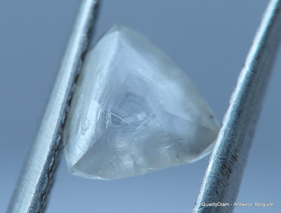 H VS2 Uncut diamond also known as rough diamond out from a diamond mine