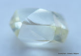 Beautiful diamond mackle out from a diamond mine ideal for uncut diamond jewelry