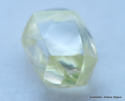 Beautiful diamond mackle out from a diamond mine ideal for uncut diamond jewelry