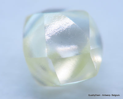 Beautiful diamond mackle out from a diamond mine ideal for uncut diamond jewelry