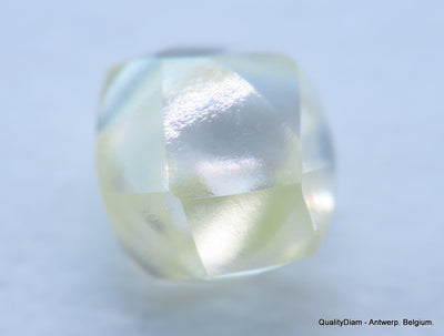 Beautiful diamond mackle out from a diamond mine ideal for uncut diamond jewelry