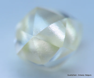 Beautiful diamond mackle out from a diamond mine ideal for uncut diamond jewelry