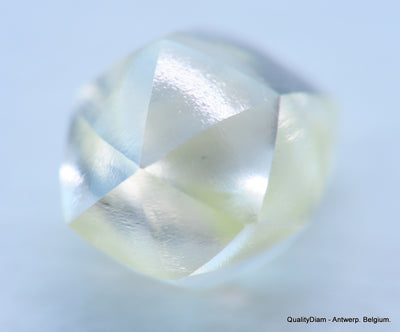 Beautiful diamond mackle out from a diamond mine ideal for uncut diamond jewelry