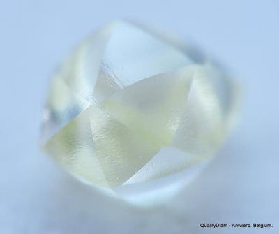 Beautiful diamond mackle out from a diamond mine ideal for uncut diamond jewelry