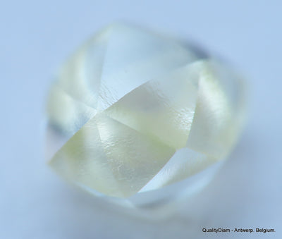 Beautiful diamond mackle out from a diamond mine ideal for uncut diamond jewelry