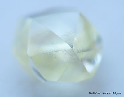 Beautiful diamond mackle out from a diamond mine ideal for uncut diamond jewelry