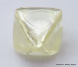 For rough diamond jewelry 0.46 carat Fancy Yellow beautiful gem diamond