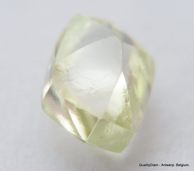 Beautiful diamond mackle out from a diamond mine ideal for uncut diamond jewelry