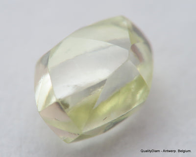 Beautiful diamond mackle out from a diamond mine ideal for uncut diamond jewelry