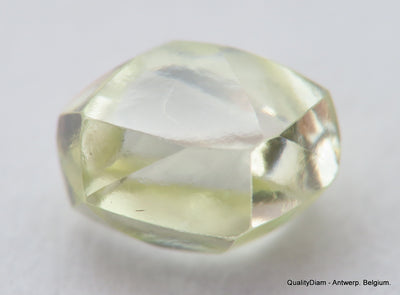 Beautiful diamond mackle out from a diamond mine ideal for uncut diamond jewelry