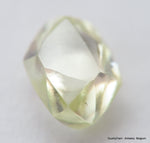 Beautiful diamond mackle out from a diamond mine ideal for uncut diamond jewelry