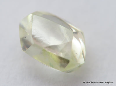 Beautiful diamond mackle out from a diamond mine ideal for uncut diamond jewelry