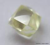 For rough diamond jewelry 0.51 carat beautiful gem diamond mackle