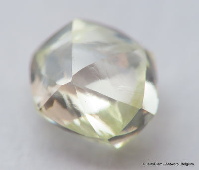 Beautiful diamond mackle out from a diamond mine ideal for uncut diamond jewelry