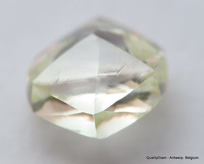 Beautiful diamond mackle out from a diamond mine ideal for uncut diamond jewelry