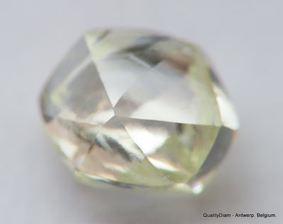 Beautiful diamond mackle out from a diamond mine ideal for uncut diamond jewelry