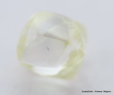 K Si2 0.57 Carat Real Diamond Genuine Diamond Out From Diamond Mine Precious Gem