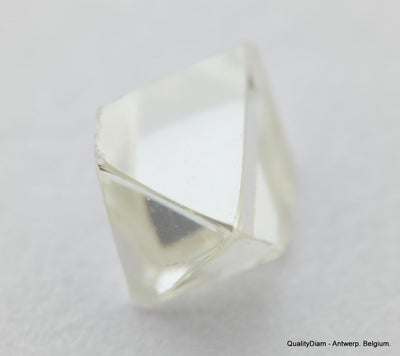 H VS1 0.34 Carat Diamond Out From Diamond Mine Precious Gemstone Natural Diamond