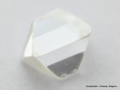 H VS1 0.34 Carat Diamond Out From Diamond Mine Precious Gemstone Natural Diamond
