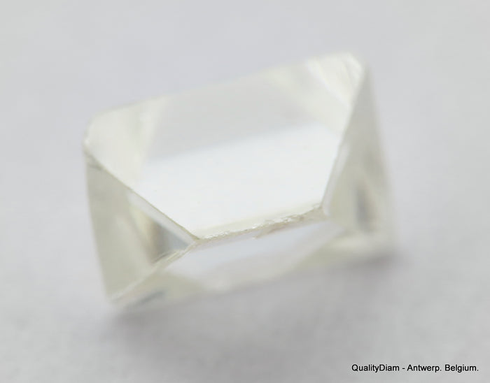 H VS1 0.34 Carat Diamond Out From Diamond Mine Precious Gemstone Natural Diamond