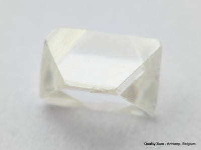 H VS1 0.34 Carat Diamond Out From Diamond Mine Precious Gemstone Natural Diamond