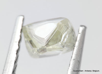 H VS1 0.38 Carat Diamond Out From Diamond Mine Precious Gemstone Natural Diamond