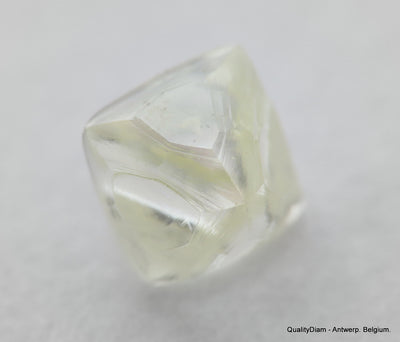 Clean & beautiful diamond out diamond mine. Natural uncut gemstone. Real is rare