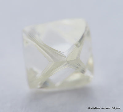 H Flawless Clean White 0.47 Carat Rough Diamond Natural, Genuine Diamond Uncut