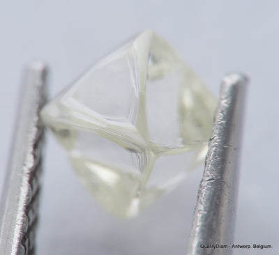 H Flawless Clean White 0.47 Carat Rough Diamond Natural, Genuine Diamond Uncut